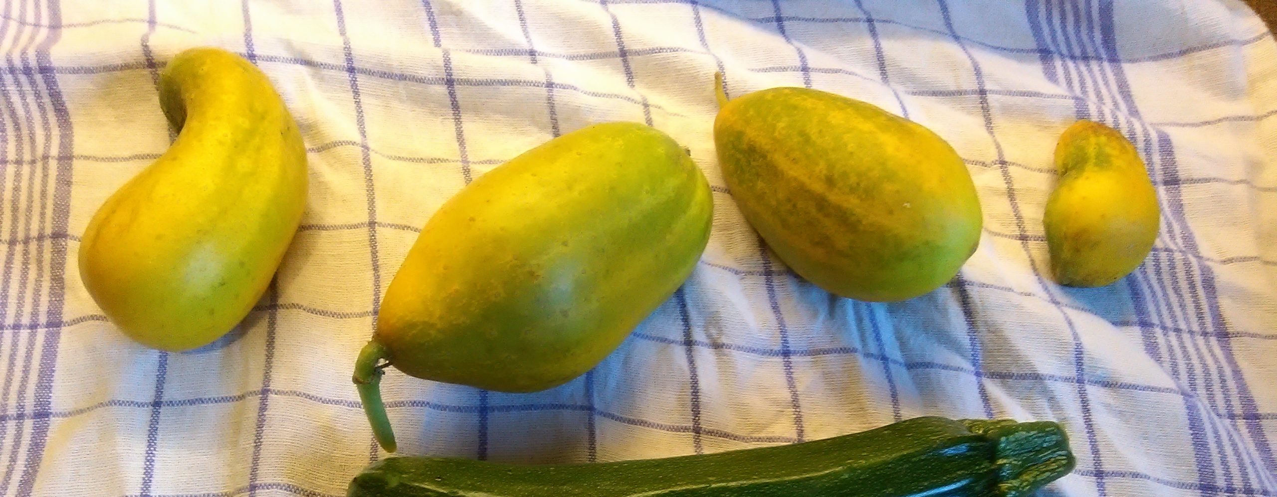 Bildungswerkstätten Prisma